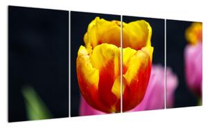 Obraz tulipánu (160x80cm)