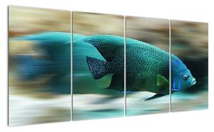 Obraz na stenu - ryby (160x80cm)