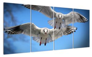 Obraz do bytu - ptáci (160x80cm)