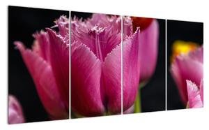 Tulipány - obrazy (160x80cm)