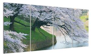 Obraz kvetoucích stromů (160x80cm)