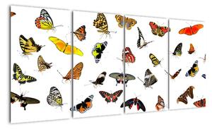 Obrazy motýlů (160x80cm)