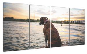 Obraz - sedící pes (160x80cm)