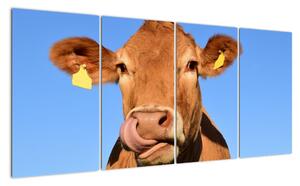 Obraz krávy (160x80cm)