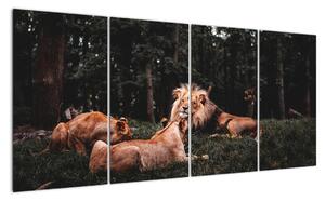 Obrazy - lvi v lese (160x80cm)
