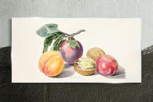 Obraz na skle Obraz na skle Ovoce větev listy