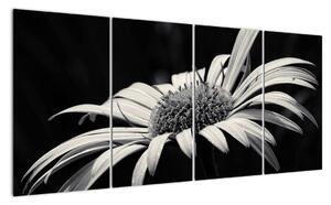 Černobílý obraz květu (160x80cm)