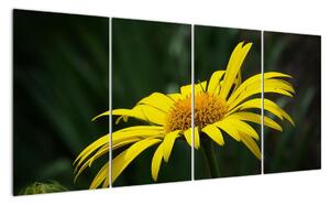 Obraz žlutého květu (160x80cm)