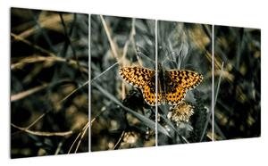 Obraz motýla (160x80cm)