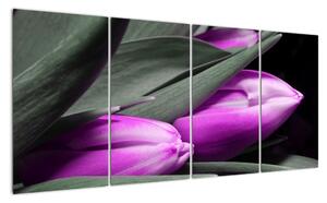 Obraz fialových tulipánů (160x80cm)