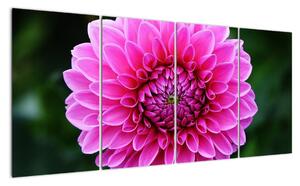 Obraz růžového květu (160x80cm)