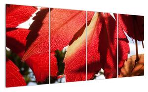 Obraz červených listů (160x80cm)