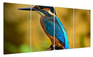 Obraz - barevný pták (160x80cm)