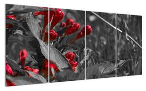 Červené květy - moderní obrazy (160x80cm)