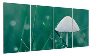Obraz houby v trávě (160x80cm)