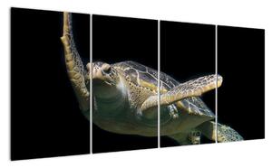 Obraz plovoucí želvy (160x80cm)