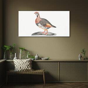 Obraz na skle Obraz na skle Kreslení zvířat pták