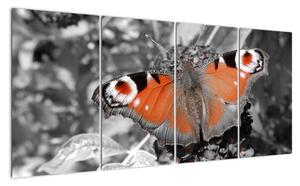Oranžový motýl - obraz (160x80cm)
