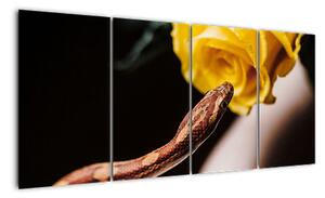 Obraz hada se žlutou růží (160x80cm)
