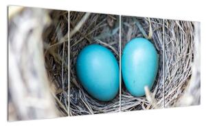 Obraz modrých vajíček v hnízdě (160x80cm)