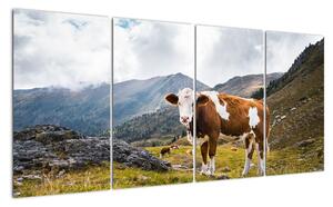 Obraz krávy na louce (160x80cm)