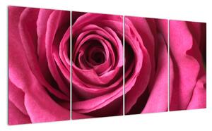 Obraz růžové růže (160x80cm)