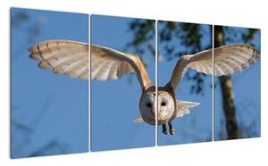 Obraz letící sovy (160x80cm)