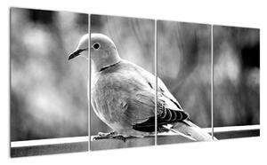 Černobílý obraz ptáka (160x80cm)