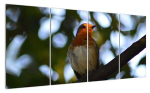 Obraz ptáka na větvi (160x80cm)