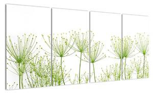 Obraz rostlin na bílém pozadí (160x80cm)