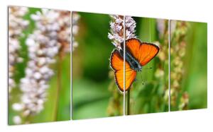 Moderní obraz motýla na louce (160x80cm)