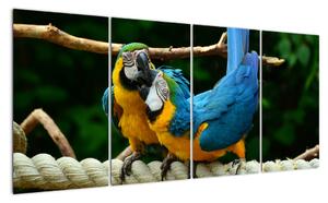 Obraz papoušků na laně (160x80cm)