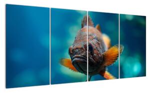 Obraz - ryba (160x80cm)