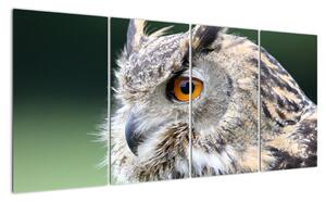Vyhlížející sova - obraz (160x80cm)