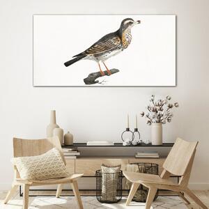 Obraz na skle Obraz na skle Kreslení větev zvířat pták