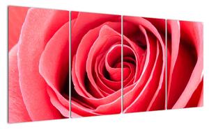 Obraz červené růže (160x80cm)