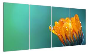 Obraz oranžového květu (160x80cm)