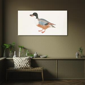 Obraz na skle Obraz na skle Kreslení zvířat kachna pera
