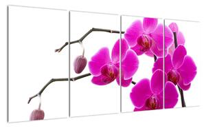 Obraz orchidejí na zeď (160x80cm)