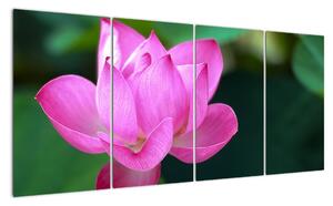Obraz květu (160x80cm)