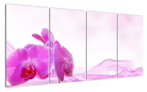 Obraz orchideje (160x80cm)