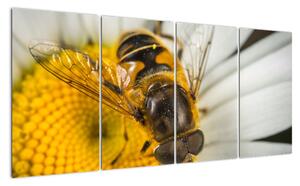 Obraz - detail včely (160x80cm)
