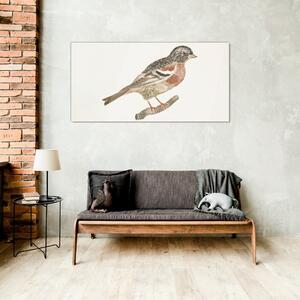 Obraz na skle Obraz na skle Kreslení větev zvířat pták