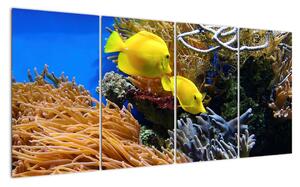Podmořský svět - obraz (160x80cm)