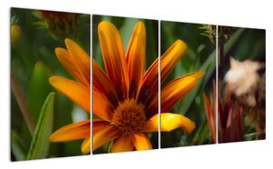 Obraz detailu květiny (160x80cm)