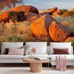 Fototapeta Africká krajina v Namibii - africká příroda savany s kameny