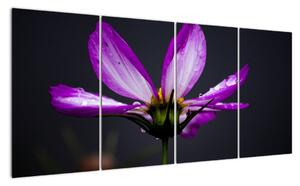 Obraz - květiny (160x80cm)
