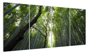 Obraz lesů (160x80cm)