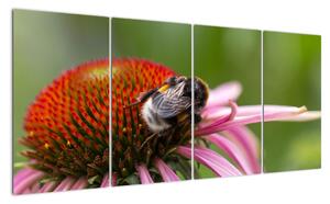 Obraz včely na květu (160x80cm)