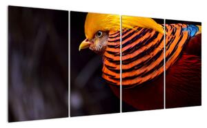 Obraz ptáka (160x80cm)